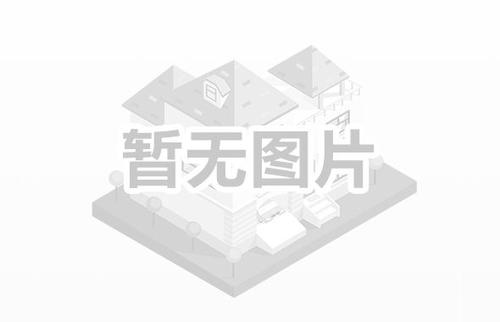 智联未来：定制与领航 